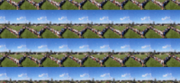 View Activity