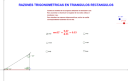 Ver Actividad