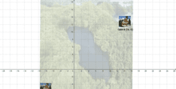 View Activity