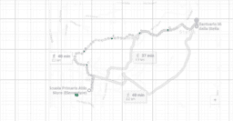 View Activity