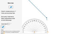 View Activity