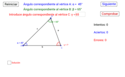 Ver Actividad