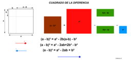 Ver Actividad