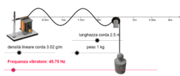 Ver Actividad