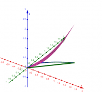 Voir l'Activit&eacute;