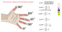 View Activity