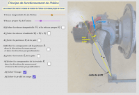 View Activity