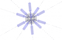 View Activity