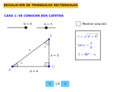 Ver Actividad