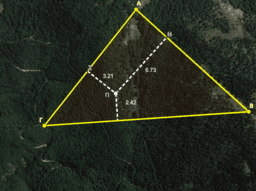 View Activity
