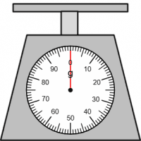 View Activity