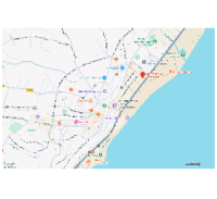 View Activity