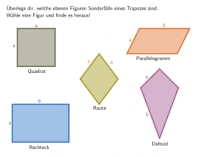 Visualizza Attività