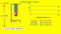 Ver Actividad