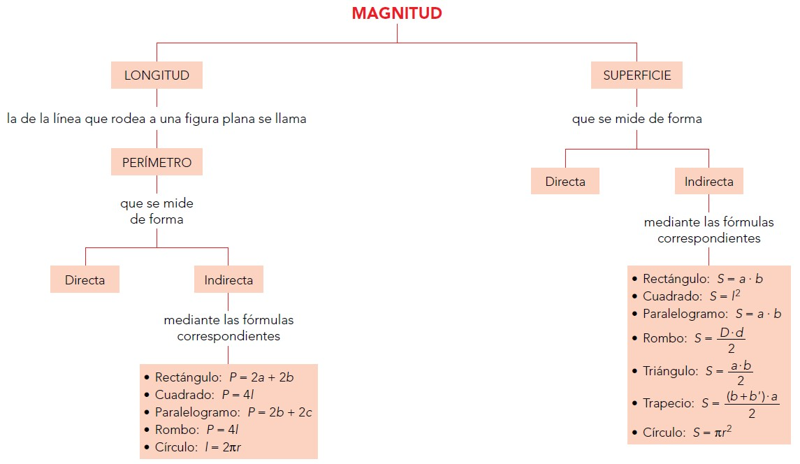 Ver Actividad