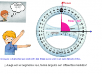 Ver Actividad