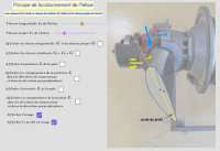 View Activity