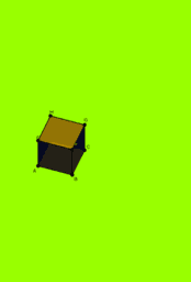 View Activity