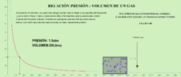 View Activity