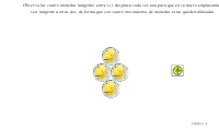 Voir l'Activité