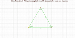 Ver Actividad