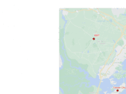 View Activity