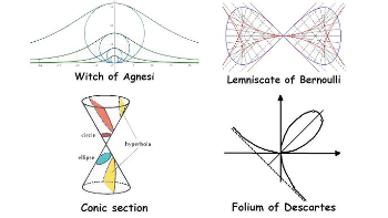 Visualizza Attività