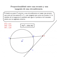 Ver Actividad