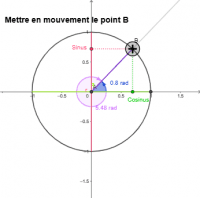 Visualizza Attività
