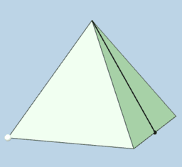 View Activity