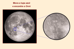 Ver Actividad