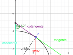 Ver Actividad