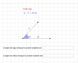 Voir l'Activit&eacute;