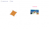 View Activity