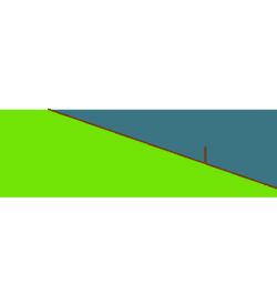 View Activity