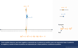 Ver Actividad