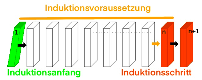 Voir l'Activité