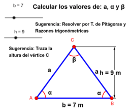 Ver Actividad