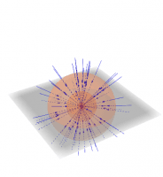 View Activity