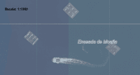 Ver Actividad