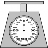 View Activity