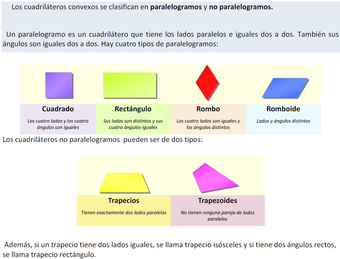 Ver Actividad