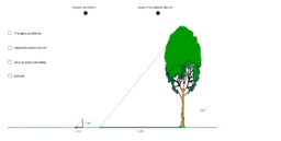 View Activity