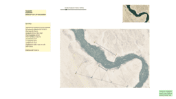 View Activity