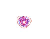 View Activity