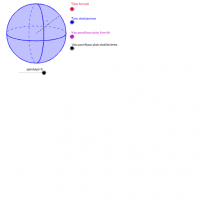 Visualizza Attivit&agrave;