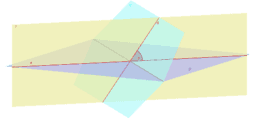 View Activity