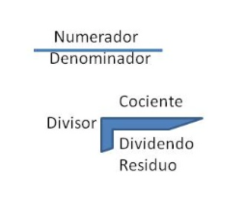 View Activity