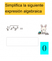 Ver Actividad