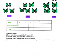 Voir l'Activit&eacute;